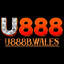 u888bwales's avatar