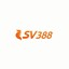 sv388kvip's avatar