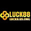 luck8usorg's avatar