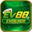 ev88ngo's avatar