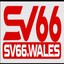 sv66wales's avatar