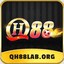 QH88laborg's avatar