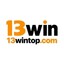 13wintopcom's avatar