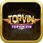topvinvin1's avatar