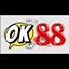 ok88uscomm's avatar