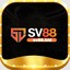 sv88bid's avatar