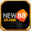 new88cncom