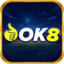 ok8fun's avatar