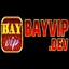 Bayvipdev's avatar