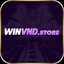 winvndstore's avatar