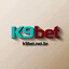 k9betnetbr's avatar
