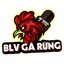 blvgarungcom's avatar