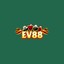 ev88beer's avatar