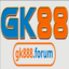 gk888forum's avatar