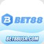 bet88usrcom's avatar