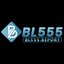 bl555report's avatar