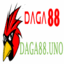 daga88uno's avatar