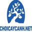 choicaycanhnet1's avatar