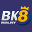 bk8adev's avatar