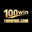 100windcom's avatar