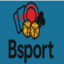 bsportcam's avatar