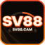 SV88cam1's avatar