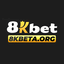 8kbetaorg's avatar