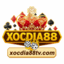 xocdia88tvcom's avatar