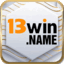 13winname