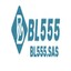 bl555sbs's avatar