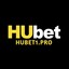 hubet1pro's avatar