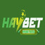 haybetblog's avatar