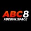 abc8vnspace's avatar