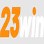 23winsacom's avatar