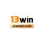 13winstcom's avatar
