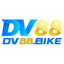 dv88bike's avatar