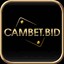 cambetbid's avatar