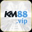km88vip1's avatar