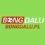 bongdalupl's avatar