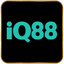 Iq88vncom's avatar