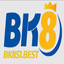 bk8s1best's avatar