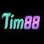 tim88info's avatar