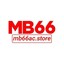 mb66acstore's avatar
