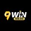 9winwiki's avatar