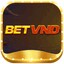 betvndapp's avatar