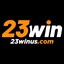 23winuscom's avatar