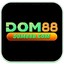 dom88bcom's avatar