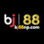 bj88npcom's avatar