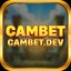 Cambetdev's avatar