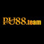pu88team's avatar